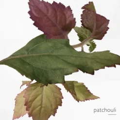 Femme HERMES Eau De Parfum|L'Ambre des Merveilles