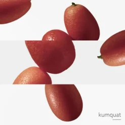 HERMES Parfums Mixtes|Eau De Toilette><noscript><img width=