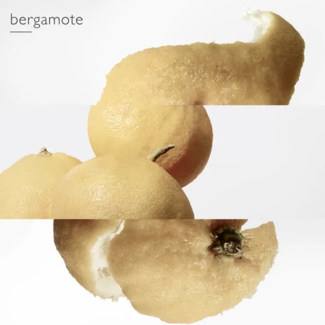 HERMES Parfums Mixtes|Eau De Toilette>Le Jardin de Monsieur Li