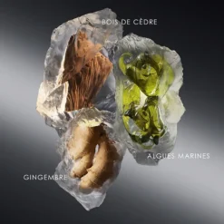 Homme Issey Miyake Eau De Toilette|Le Sel D'Issey