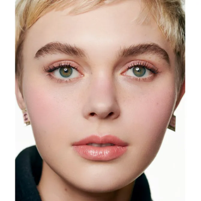 CHANEL Enlumineur & Highlight|Fard À Joue & Blush>LES SIGNES DE