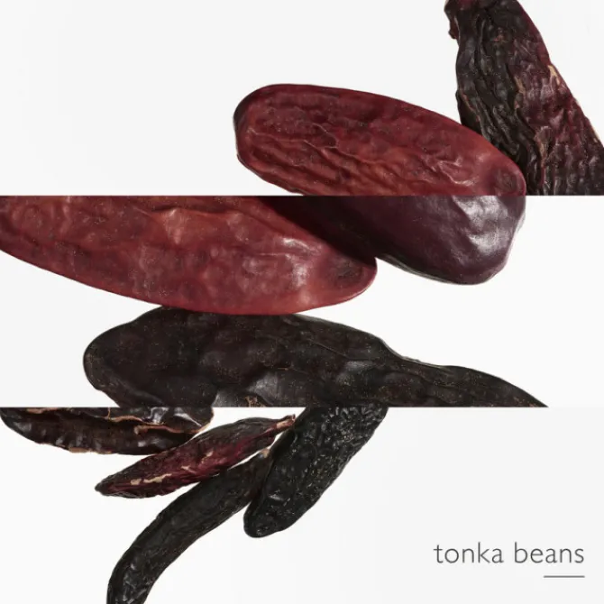 HERMES Eau De Parfum>L'Ombre Des Merveilles