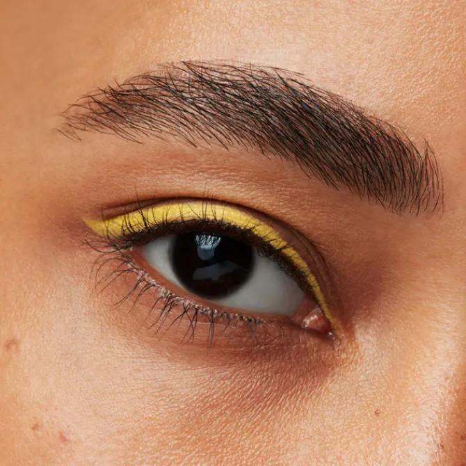 Shiseido Eyeliner>MicroLiner Ink