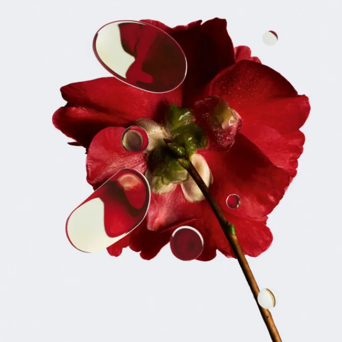 CHANEL Sérum>N°1 DE