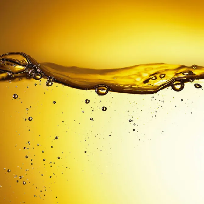 Revlon Professional Cheveux Normaux / Tous Types|Huile & Sérum>Orofluido Elixir