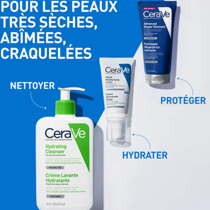 CeraVe Soins Hydratants|Crèmes De Jour|Pommade Réparatrice Intensive Visage et Corps