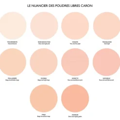 Caron Poudre De Teint>Poudre Libre Classique