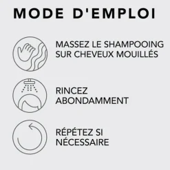 Sebastian Cheveux Secs / Abîmés / Cassants|Professional Penetraitt Shampooing