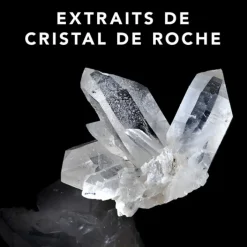 Sebastian Shampooing><noscript><img width=