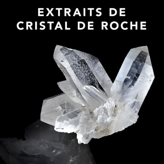 Sebastian Shampooing>Professional Trilliance Conditionneur