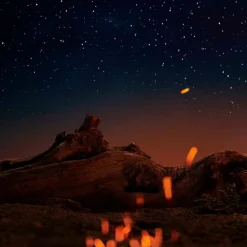 Maison Margiela Eau De Toilette></noscript>Replica Under The Stars