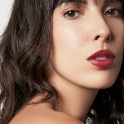 Le Rouge Francais Rouge À Lèvres>Rouge à Lèvres