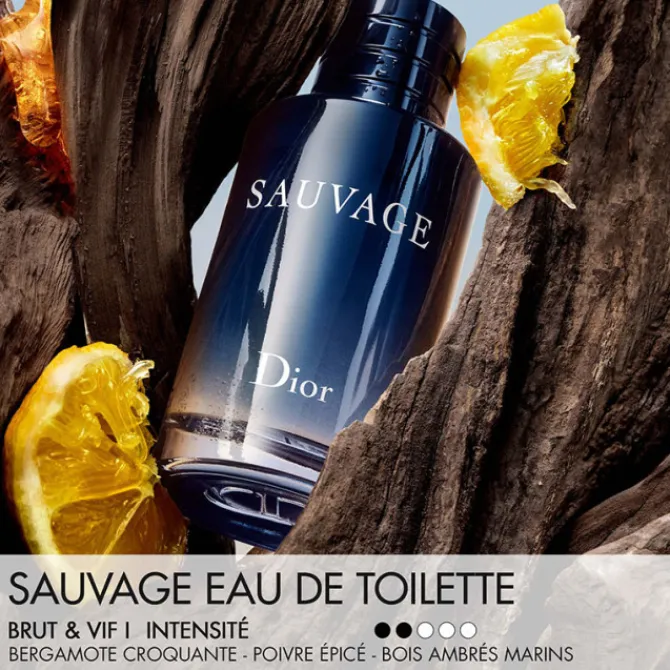 Dior Parfums Rechargeables|Eau De Toilette>Sauvage