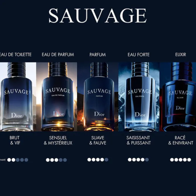 Dior Parfums Rechargeables|Eau De Toilette>Sauvage