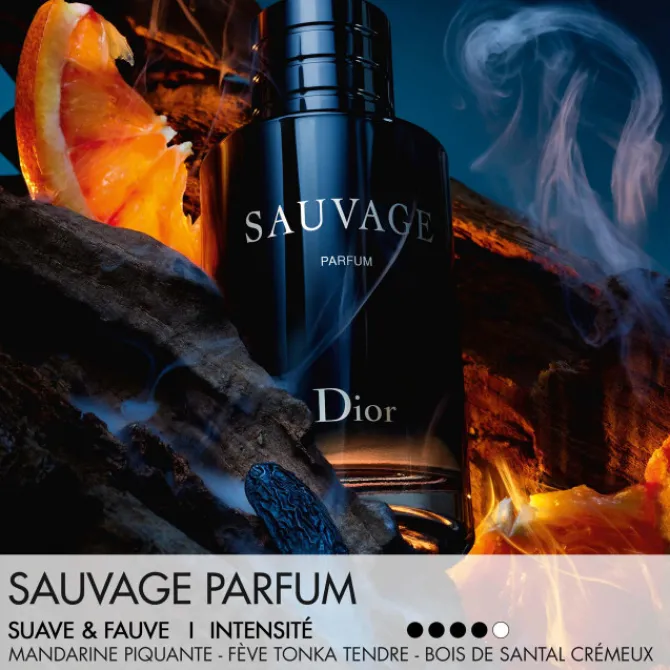 Homme Dior Parfums Rechargeables|Eau De Parfum|Sauvage