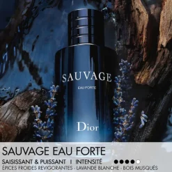 Dior Eau De Parfum><noscript><img width=