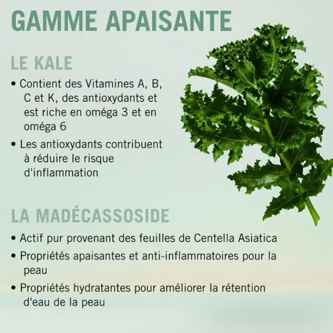 Schwarzkopf Cuir Chevelu Sensible / Pellicules|Cheveux Gras>Scalp Shampooing Apaisant