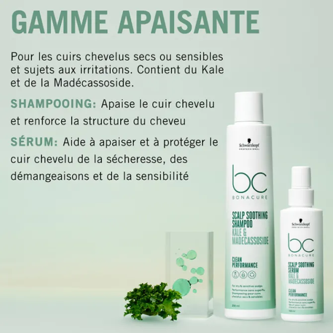 Schwarzkopf Cuir Chevelu Sensible / Pellicules|Cheveux Gras>Scalp Shampooing Apaisant