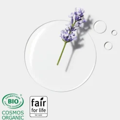 Rene Furterer Cheveux Normaux / Tous Types|Shampooing Sec><noscript><img width=