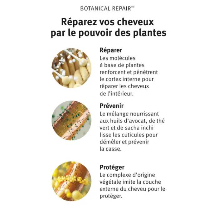 Aveda Huile & Sérum>Strengthening Overnight Serum