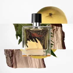 HERMES Eau De Parfum>Terre d'Hermès