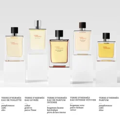 HERMES Parfums Rechargeables|Eau De Parfum>Terre d'Hermès Eau Intense Vétiver