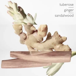 HERMES Eau De Parfum>Twilly d'Hermès