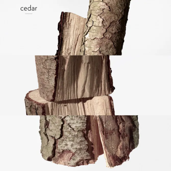 HERMES Eau De Parfum>Twilly d'Hermès Eau Ginger