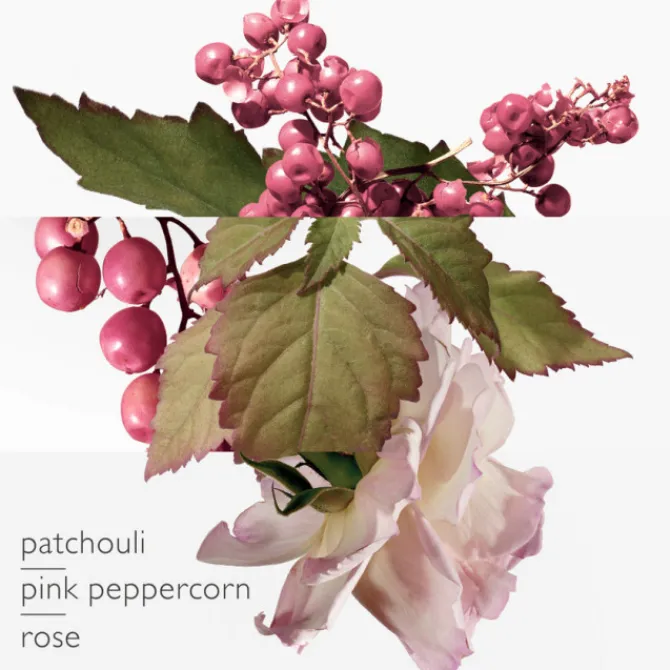 HERMES Eau De Parfum>Twilly d'Hermès Eau Poivrée