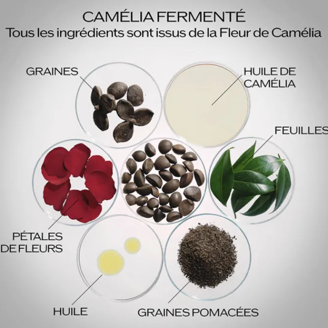 Shiseido Sérum>Ultimune