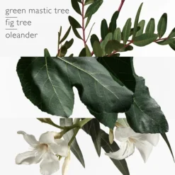 HERMES Parfums Mixtes|Eau De Toilette>Un Jardin en Méditerranée