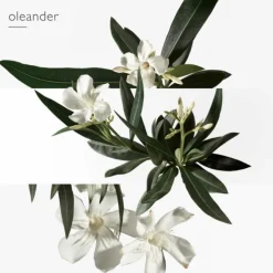 HERMES Parfums Mixtes|Eau De Toilette><noscript><img width=