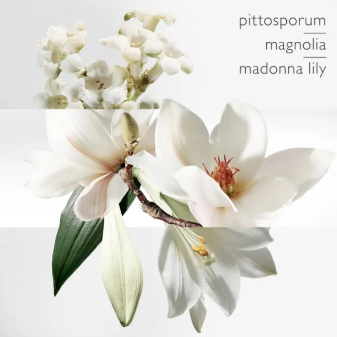 HERMES Parfums Mixtes|Eau De Toilette>Un Jardin sur la Lagune