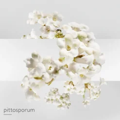 HERMES Parfums Mixtes|Eau De Toilette><noscript><img width=