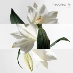 HERMES Parfums Mixtes|Eau De Toilette><noscript><img width=