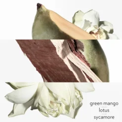 HERMES Parfums Mixtes|Parfums Rechargeables>Un Jardin sur le Nil