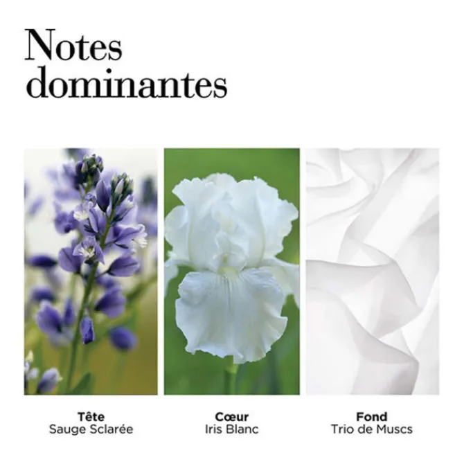 Elizabeth Arden Eau De Toilette|Parfums Petits Prix>White Tea Eau de Toilette