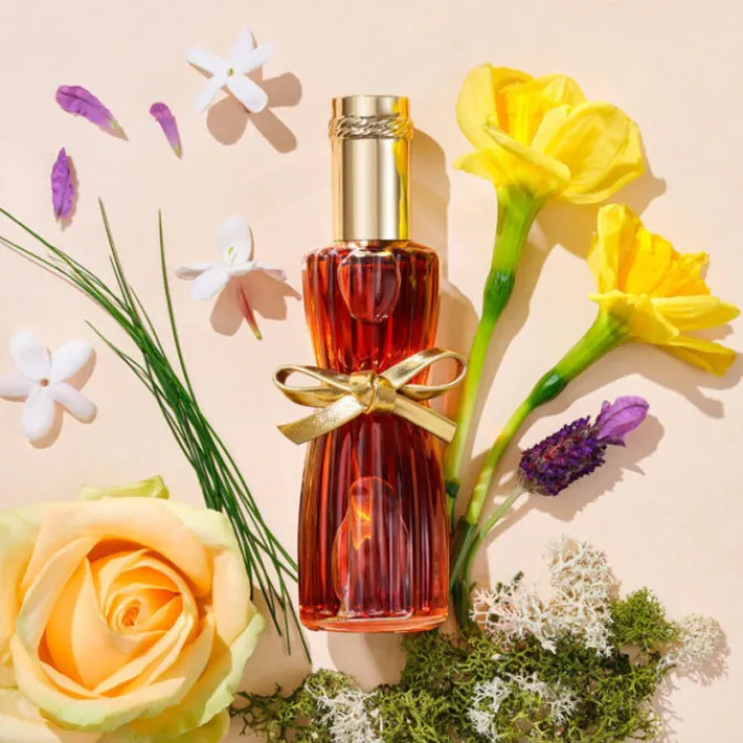 Estee Lauder Eau De Parfum>Youth Dew