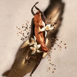 Femme Zadig et Voltaire Eau De Parfum|Zadig